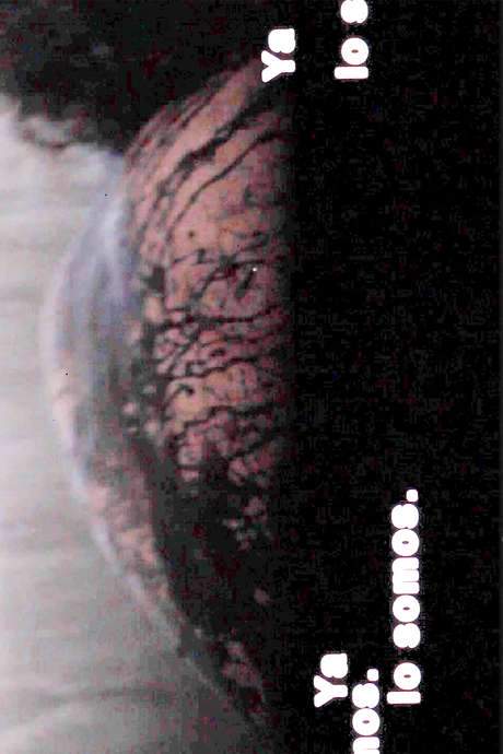    A body. His birth in a mental space. An act of metamorphosis that ends up staining much more than the skin.  